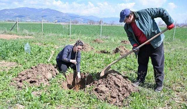 Antalya Büyükşehir ipek böceği yetiştiriciliğini yaygınlaştırıyor