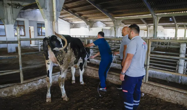 Antalya'da kurban yakalama timi göreve hazır