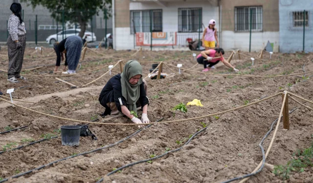 Avrupa'dan Bornova'ya kent bostanı incelemesi