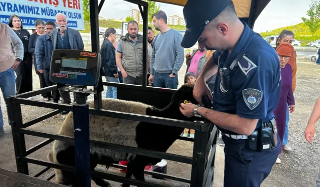Gaziantep'te bayram öncesi hazırlıklar tamamlandı