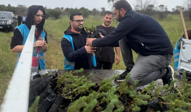 İzmir Aliağa'da yangınların yarası bin fıstık çamıyla sarıldı