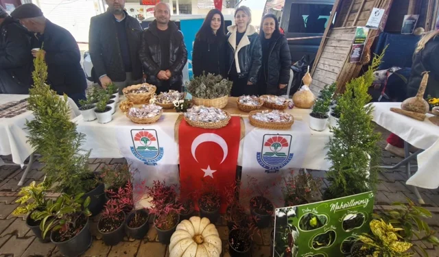 Yalova'da Ata Tohumuna büyük destek