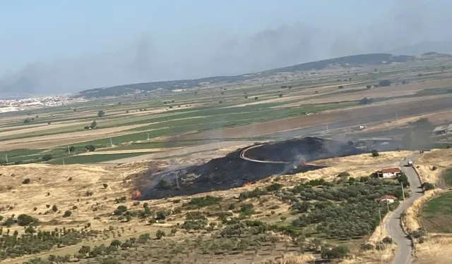 İzmir Foça'da makilik alandaki yangın kontrol altında