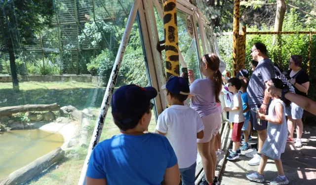 Minik kaşifler Hayvanat Bahçesi'nde