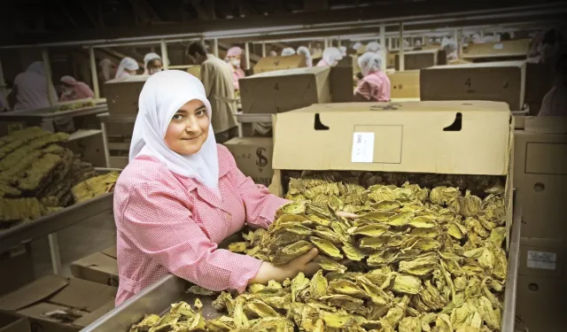 Ege İhracatçı Birlikleri ihracat rekorlarını otomatiğe bağladı