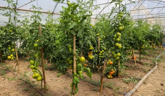 Eskişehir'de Çiftçi Destekleme ve Eğitim Merkezi kuruluyor
