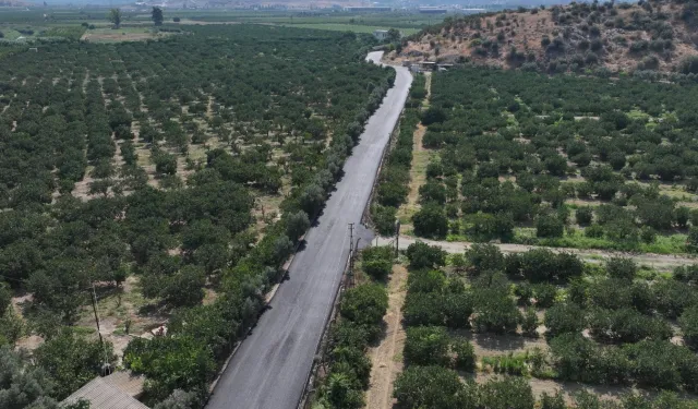 İzmir Efes Selçuk'ta yollar yenileniyor