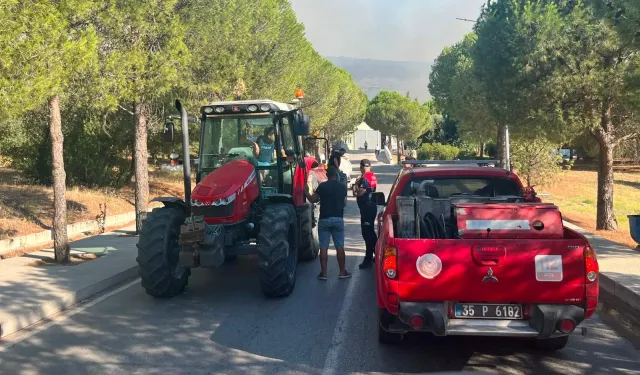 İzmir Foça'daki orman yangını için ekipler seferber oldu