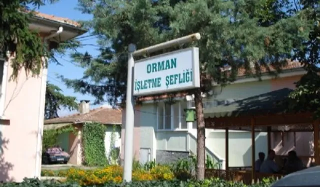 Kepsut'a Orman İşletme Müdürlüğü kuruluyor