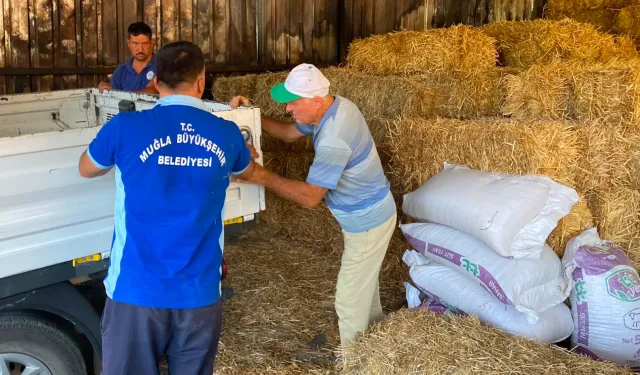 Muğla'da yangın mağduru üreticiye destek