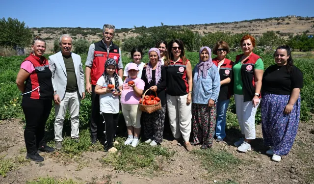 Yamanlar Tarla Domatesi için üreticilerle tarlada buluşuldu