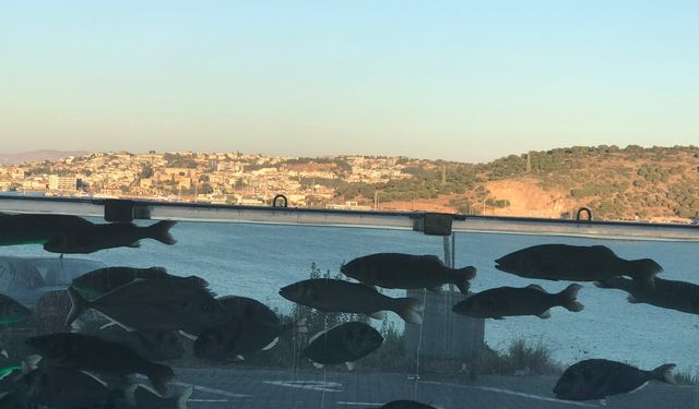 "Villa Akvaryumu" Turizmin ve Ekolojinin Cazibe Merkezi Oldu…