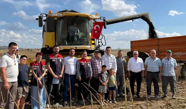 İpsala'da ayçiçeği hasadı heyecanı