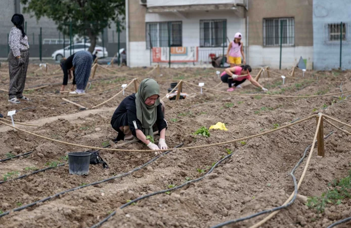 Avrupa'dan Bornova'ya kent bostanı incelemesi