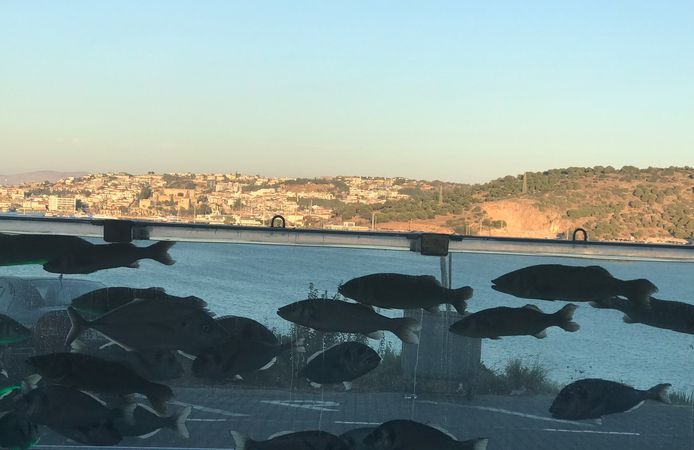 "Villa Akvaryumu" Turizmin ve Ekolojinin Cazibe Merkezi Oldu…