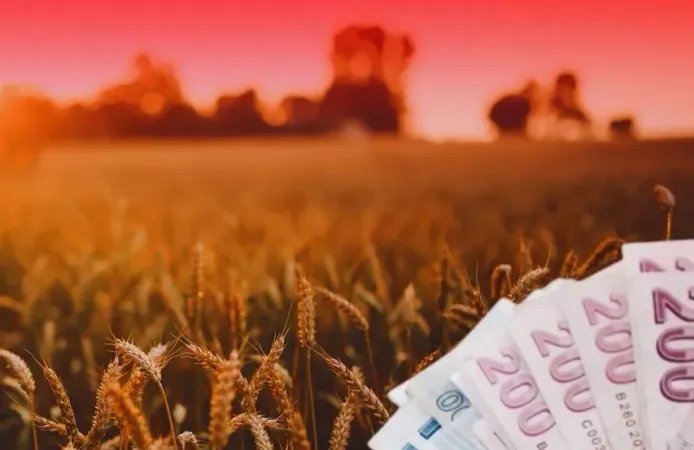 TMO'dan üreticilere 4,2 milyar liralık ürün bedeli ödemesi