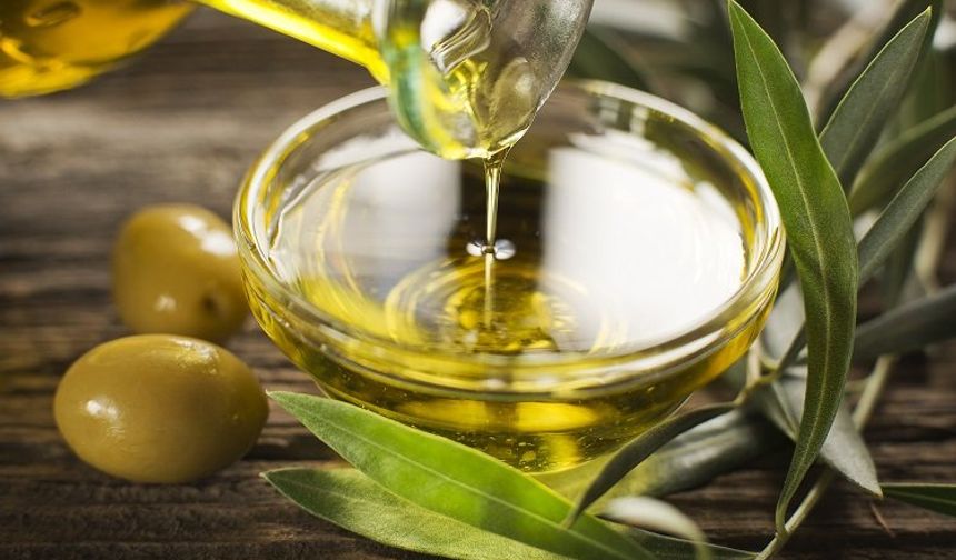 Zeytinyağı ihracatında yasaklar kaldırılmalı