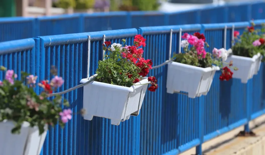 İzmir’de Güzelbahçe çiçek açtı
