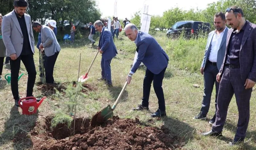 Bursa İnegöl’de Çevre Haftasında 150 fidan toprakla buluştu