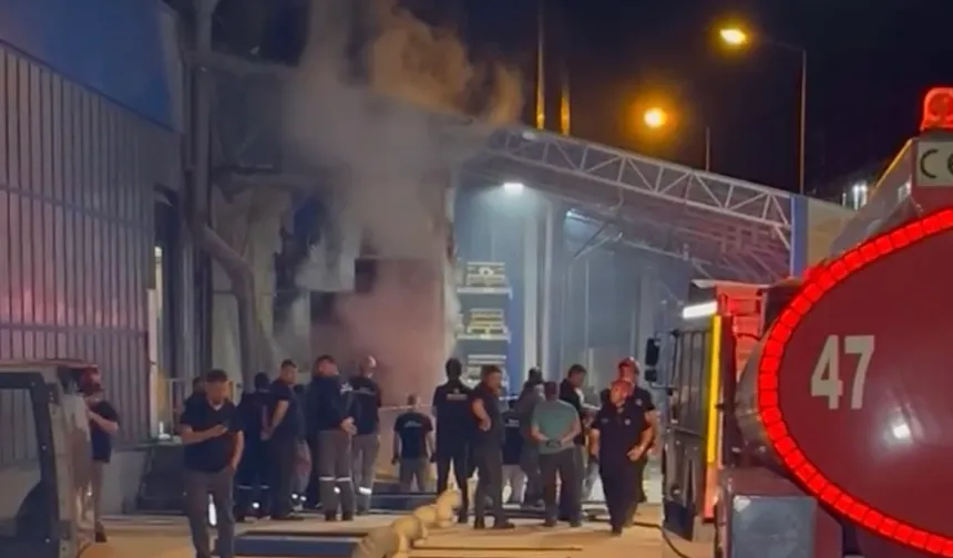Düzce'de fabrikada yangın çıktı! Can kaybı yok!