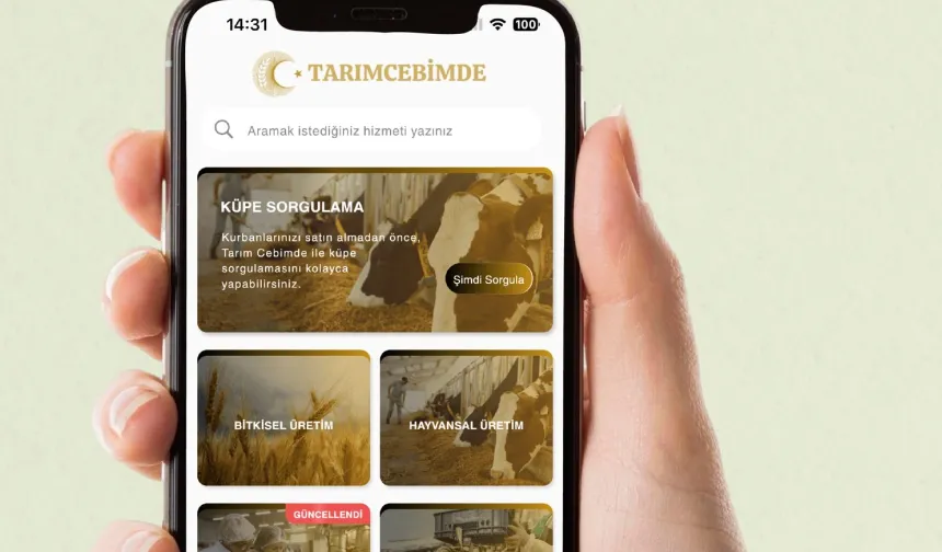 Kurbanlık seçimi 'Tarım Cebimde' ile daha güvenli