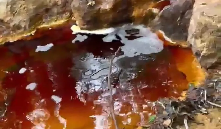 Sivas'ta yeni çevre felaketi! Dere kırmızıya boyandı!