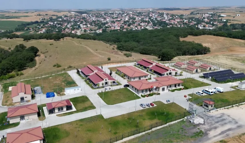 Büyükşehir sahipsiz hayvanlara umut oluyor