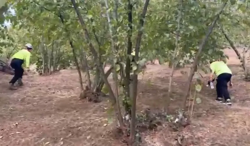 Düzce'de 81 yaşındaki kayıp kadın aranıyor
