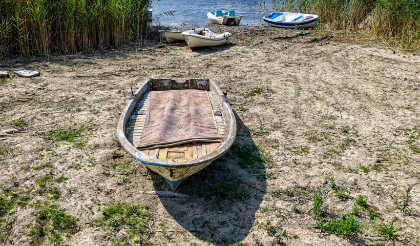 Sapanca Gölü için kritik çalıştay tamamlandı