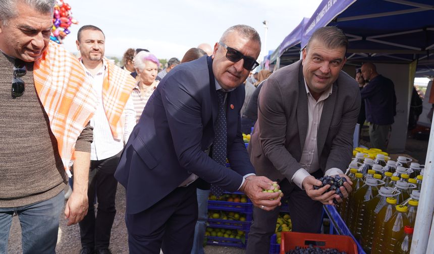 Orhanlı Köyü 2. Zeytin Hasadı Festivali coşkuyla başladı