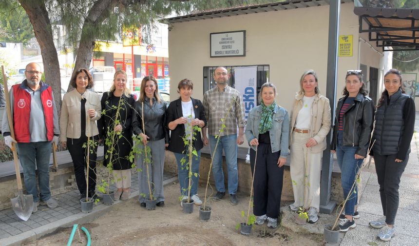 USKD, Selluka Çiçeğini Yeni Nesillere Tanıtıyor