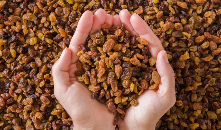 Türkiye, dünya kuru üzüm ihracatının yüzde 30’unu tek başına yapacak