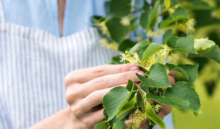 Ege Bölgesi’nin ihracatı kasım ayında yüzde 7,3 azaldı