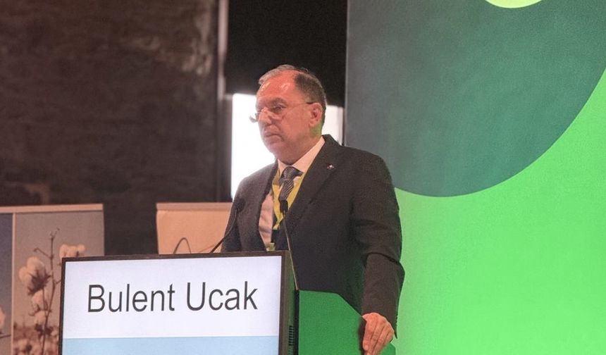 Türkiye dünyanın en büyük GDO’suz pamuk üreticilerinden