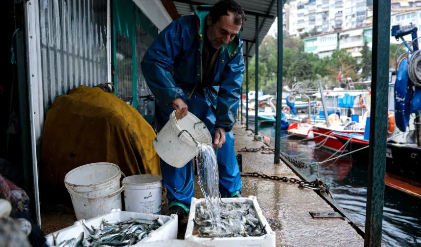 Bursa'da yüzde 100 hibeli mazot desteğine yoğun ilgi