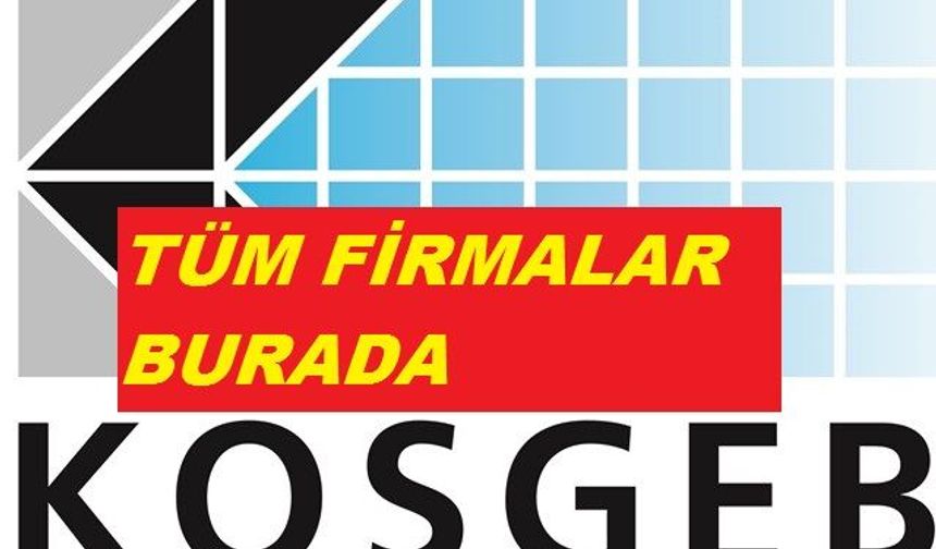 KOSGEB 2026 Yılı İş kurma,İş geliştirme,Kapasite geliştirme, refinans,dijital dönüşüm desteği...