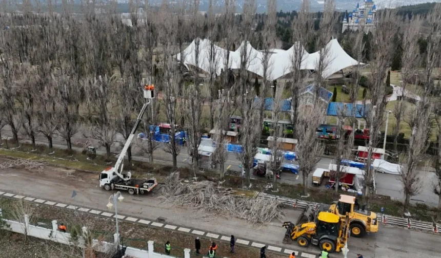Eskişehir Büyükşehir'den ağaçlara gençleştirme çalışması