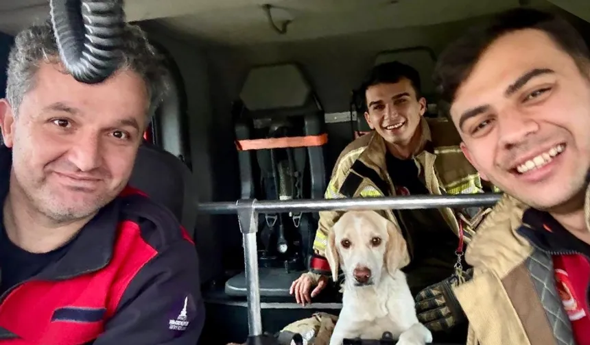 İzmir İtfaiyesi tüm canlıların imdadına yetişiyor