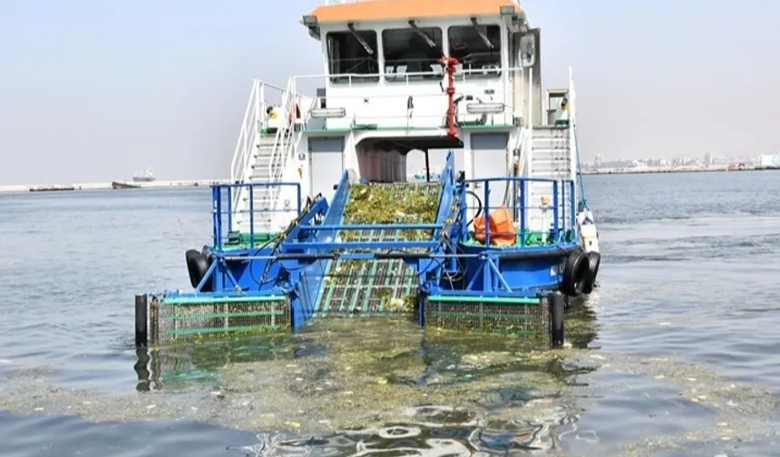 İzmir körfezinde kirlilik alarmı! İzmir Büyükşehir seyirci mi kalıyor?