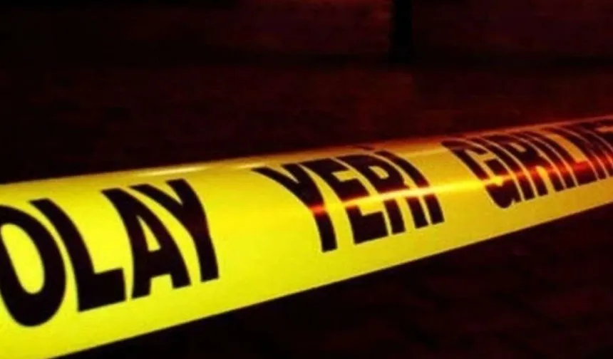 Yığılca-Alaplı yolunda tır şarampole devrildi