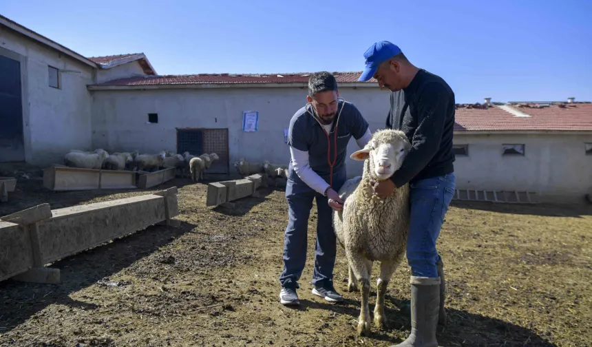 Ankara'da kırsaldaki üreticiye can suyu