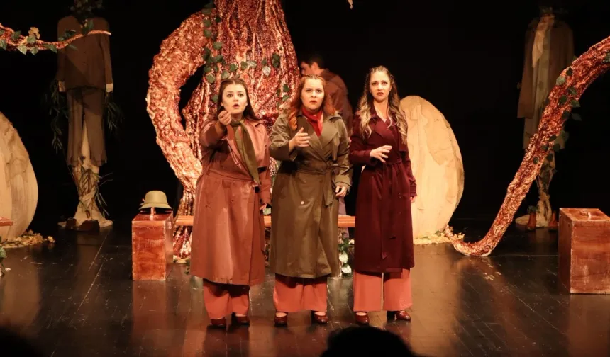 Ordu'da kadınların dünyasına dokunan yeni oyun