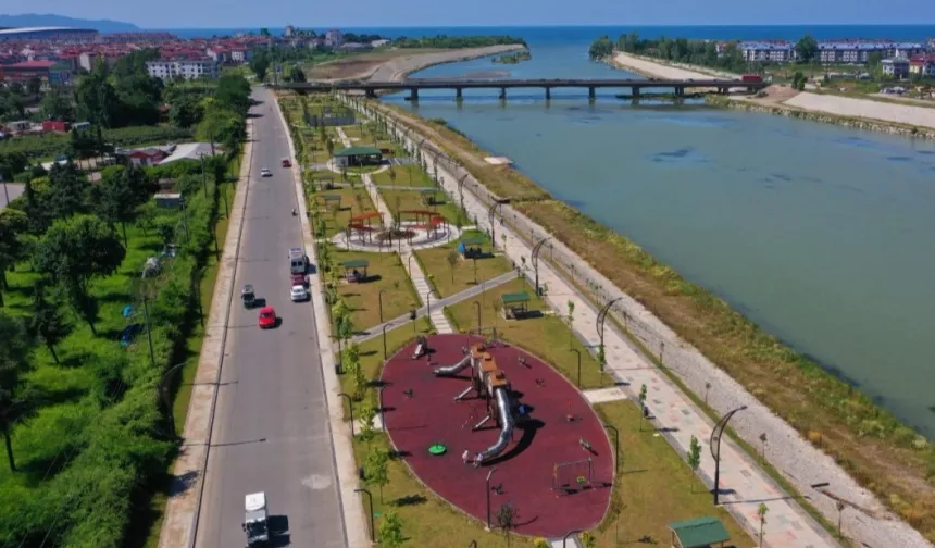 Ordu'da yeşil seferberlik: 7 yılda yüzde 254 artış