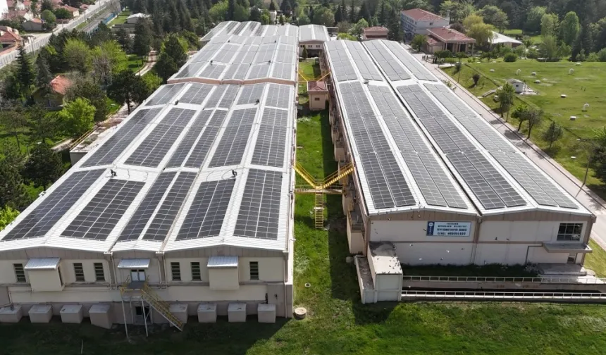 854 ton karbon salınımı önlenerek 34 bin ağaç korundu