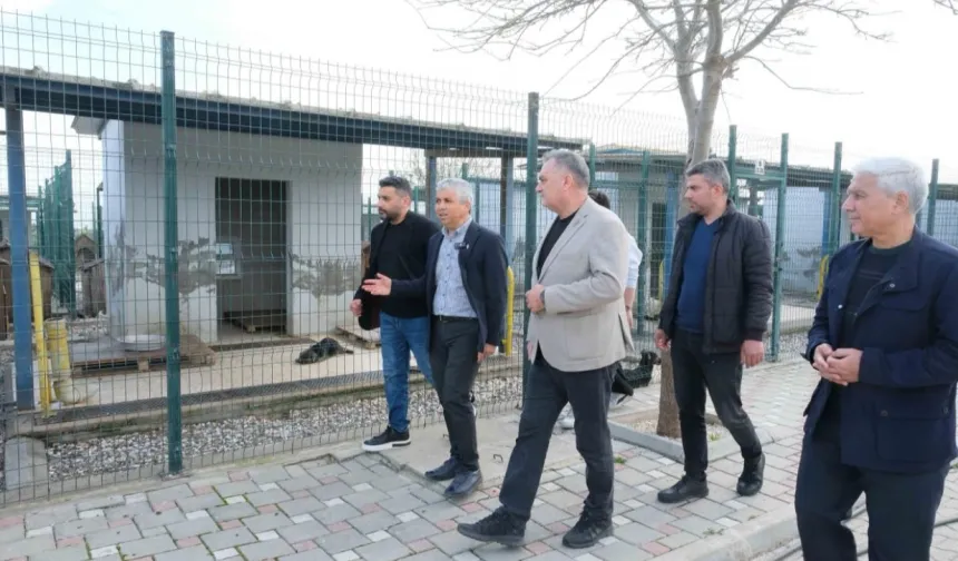 Adanalı veterinerlerden hayvan bakımevine inceleme