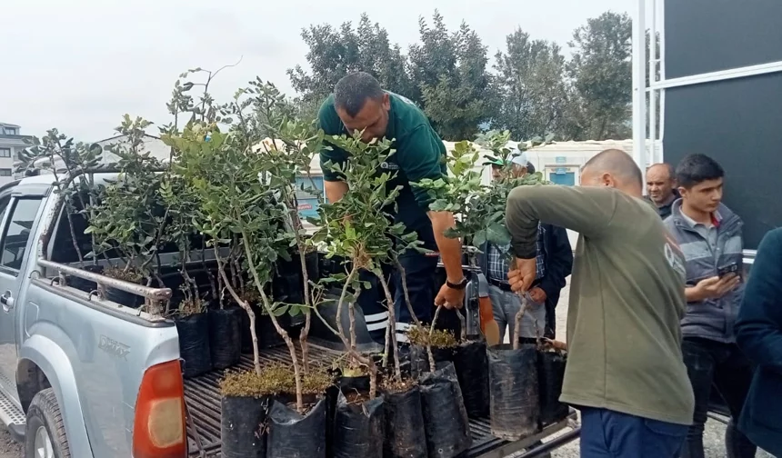 Alanya'nın coğrafi işaretli keçiboynuzuna destek