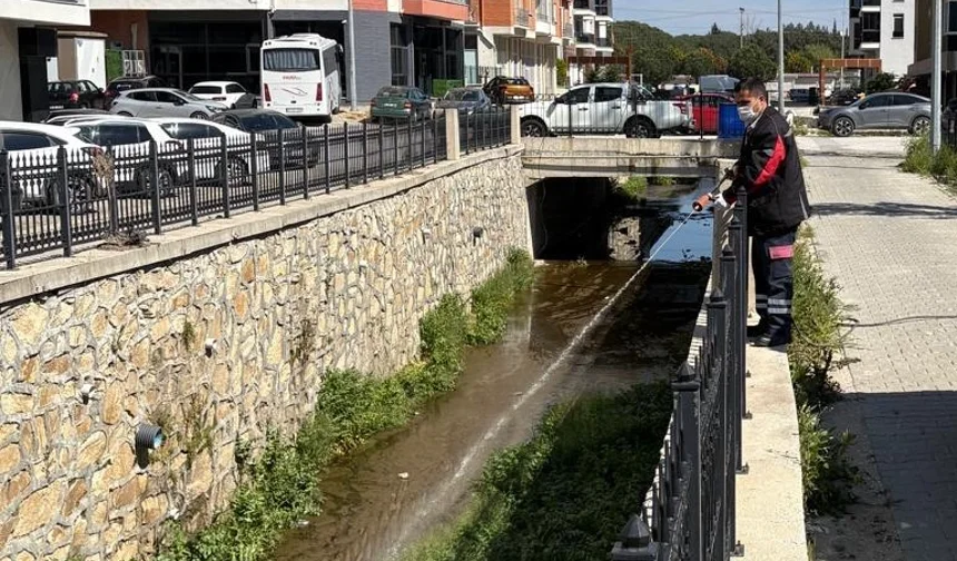 Haşereye karşı larvasit çözüm