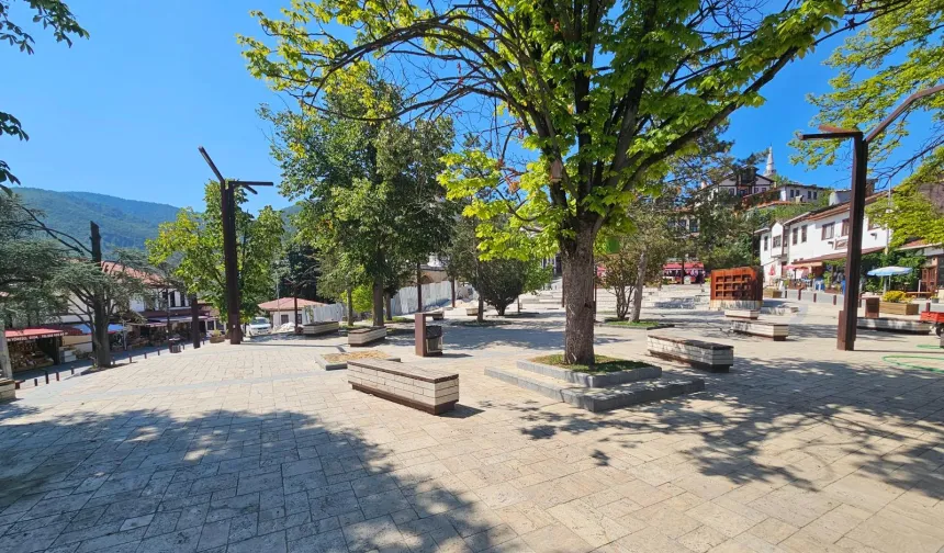 Sakarya Taraklı'da tarihi çınar yeniden hayat buluyor