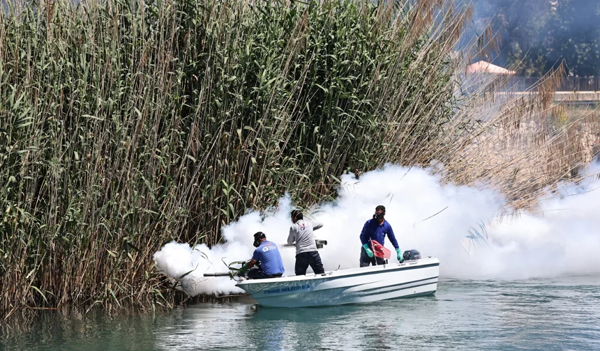Antalya'da denizden karaya ilaçlama yapılıyor