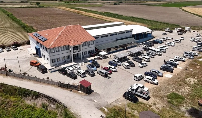 Hatay'da mezbahaneler tam gaz çalışıyor